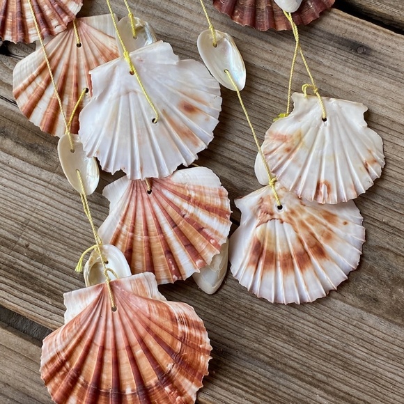 VTG 1970s Hanging Shell Art Mobile Wind Chime 21" Long - Picture 7 of 9